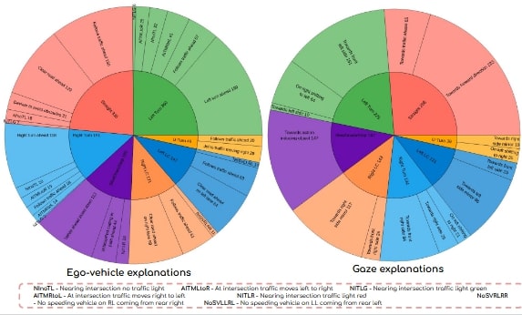 data distribution ego gaze explanations